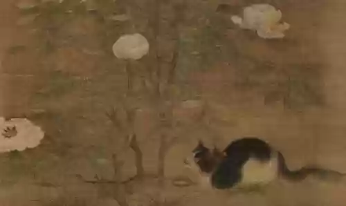 猫和老鼠共研服激活码2021(猫和老鼠怎样加入共研服)插图2