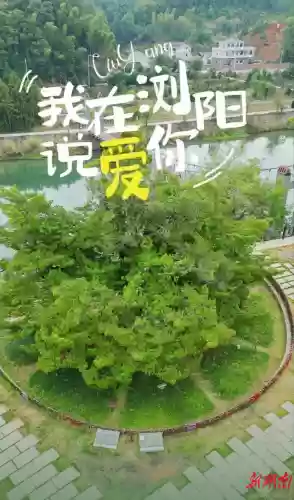 画师6770阵容(咸鱼7403关推图阵容)插图18