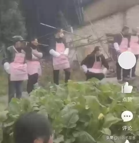 川渝最强阵容穿围腰(边境突围双排最好阵容)插图4