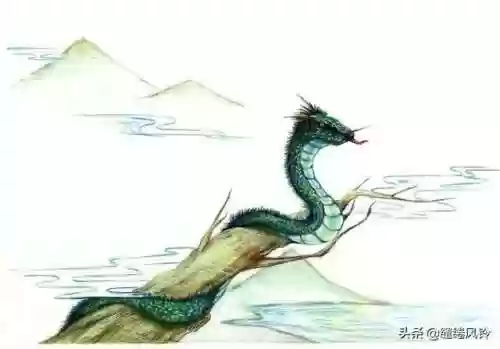 108只神兽大全(宝可梦98只神兽图片)插图21