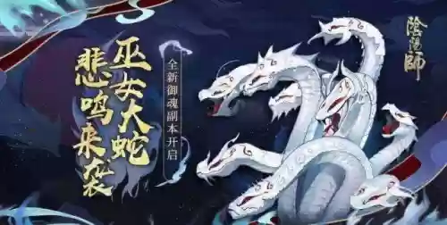 阴阳师有必要练阵容吗吗(阴阳师必练式神)