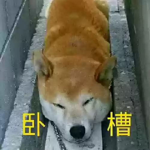 少侠三国志最强阵容搭配(少年三国志玩什么阵营)插图4