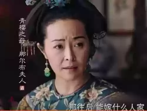 延禧攻略之凤凰于阵容(延禧攻略橙光游戏破解版)插图1