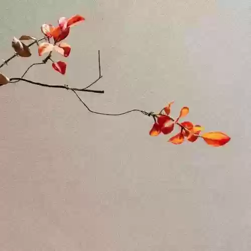 书林小说网(能看飞卢vip章节的小说软件)插图1