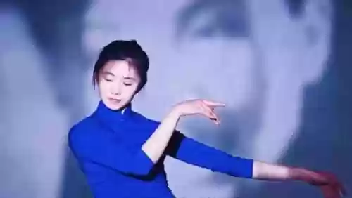 龙争虎斗景天阵容(大掌门2金将阵容推荐排名)插图14