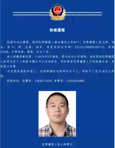 张飞悬赏阵容(张飞最稳的一套阵容)插图1