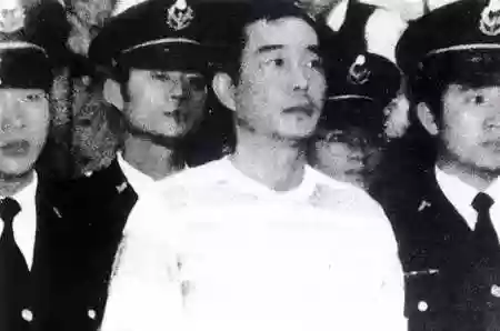 金灿灿毒瘾阵容(金灿灿福星版本哪个阵容最强)插图3