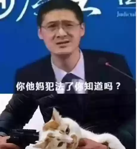 沃尔沃代言阵容(沃尔沃形象代言人)插图9 沃尔沃代言阵容(沃尔沃形象代言人)插图9