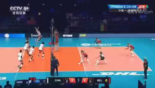 中国比利时女排阵容(奥运女排八强对阵)插图3
