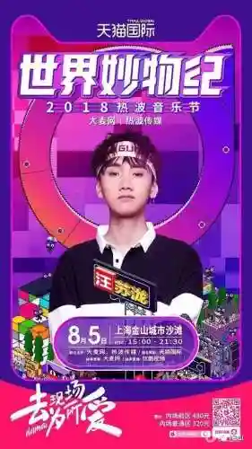 热波音乐节2014阵容(coachella音乐节)插图6