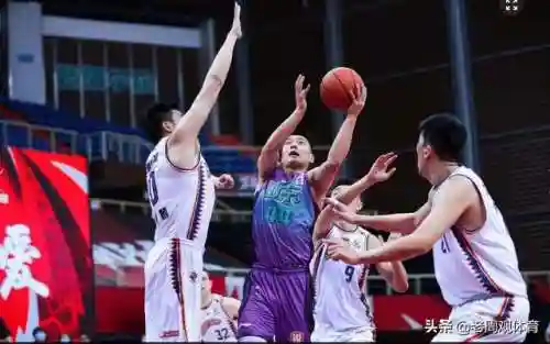西王小鲨鱼阵容(塔王之王2阵容搭配推荐)