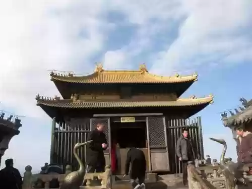 我在武当睡十年(武当睡十年最新章节内容)插图96