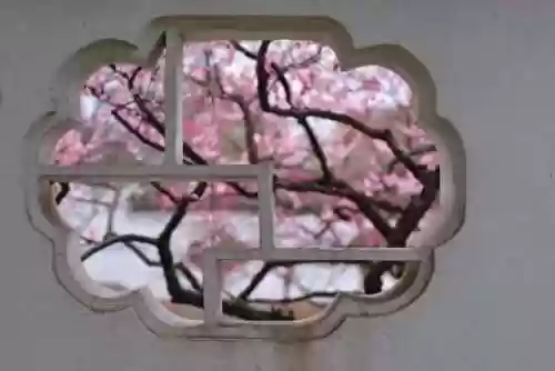 最近的2019中文字幕国语版 小说(最近播放中文版在线观看电视剧)