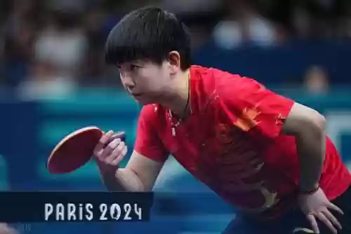 国际乒乓球主力阵容有哪些(中国乒乓球队主力)插图4