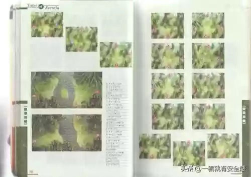 永恒传说攻略图文(永恒传说最终武器)插图25