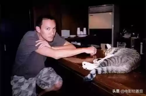 2046阵容(2047哪个阵营最厉害)插图25