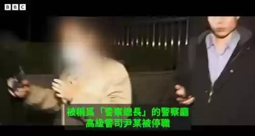 皮条恶心阵容(奇才最新阵容)插图70