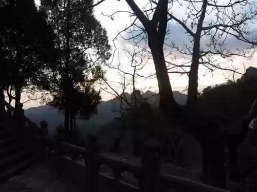 我在武当睡十年(武当睡十年最新章节内容)插图39