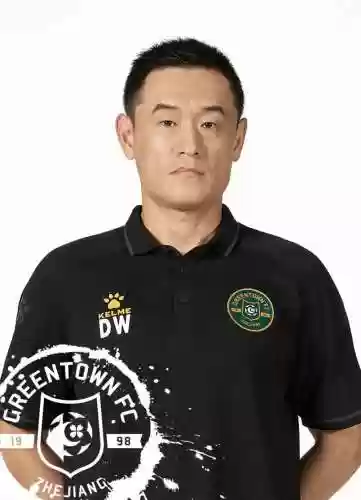 绿城 阵容(杭州绿城队)插图6