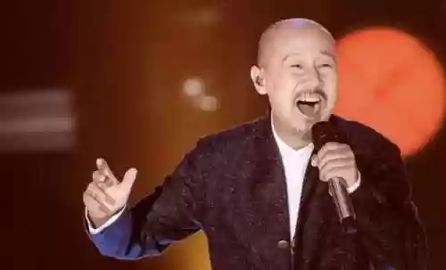 我是歌手最佳阵容是谁(我们的歌第二季阵容)插图39