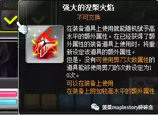 冒险岛火焰骑士阵容装备(冒险岛黑骑士技能加点)插图2
