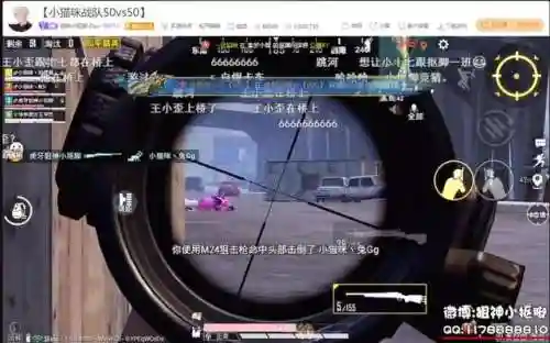 和平精英最乱的阵容(王者荣耀三排骚阵容)插图2