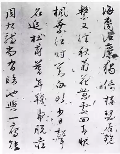 倚天2自由世界龙驹(倚天2龙驹发布网)插图7