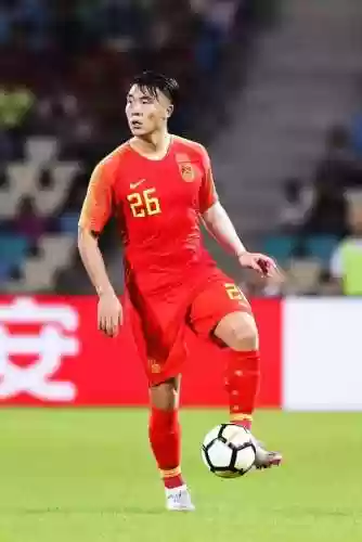 绿城队主力阵容对比(绿城和万科哪个品质高)插图6