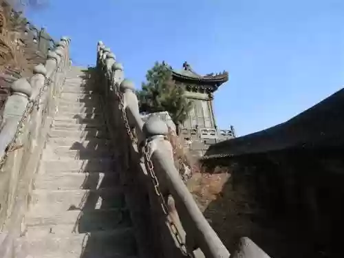 我在武当睡十年(武当睡十年最新章节内容)插图83