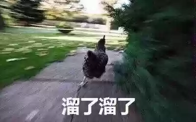 龙女无限乱斗偷塔阵容(龙女大乱斗出装)插图1