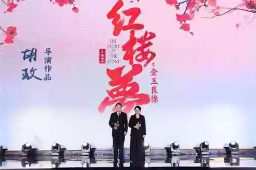 红楼梦杨洋版阵容表(红楼梦人物表)