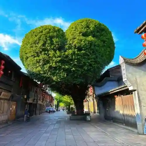 福建旅游必去十大景点(七月份适合去厦门旅游吗)插图7