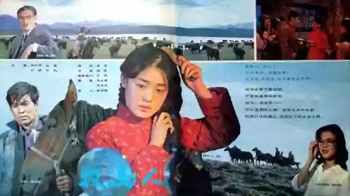 雪豹突击队之特战枪王(雪豹之最强战神)插图1