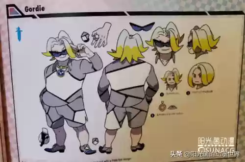 剑盾龙系道馆阵容搭配(剑盾一周目阵容推荐)插图8