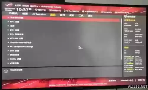 骑马与砍杀娶珍珠之光(骑砍战团珍珠之光复国任务)插图17