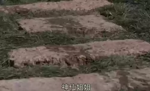 云顶之弈独斗阵容(云顶之弈斗法海给什么装备)插图59