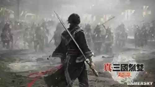 真三国无双3帝国(真三是什么游戏)
