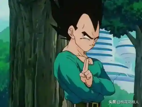 龙珠父子阵容配对(赛亚龙珠双s最强的阵容)插图4