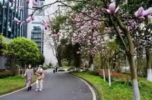 数码宝贝新世纪草元素阵容(数码宝贝阵容推荐)