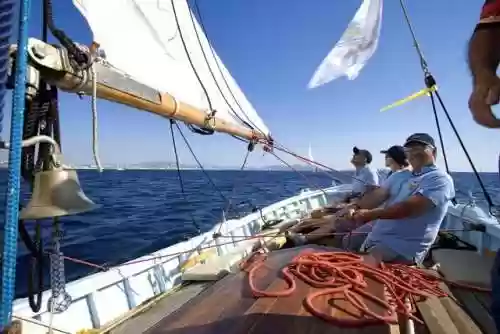 人在航海-签到三年(大航海:海军总部签到十年笔趣阁)插图6 人在航海-签到三年(大航海:海军总部签到十年笔趣阁)插图6