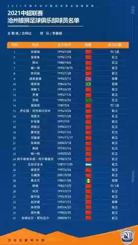 沧州雄狮俱乐部阵容照片(雄狮俱乐部是干嘛的)