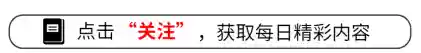 花海歌手阵容(山海镜花烛光阵容)