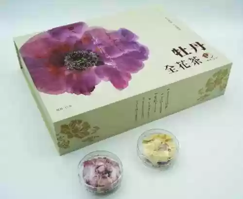 高平比赛阵容(剑盾双打阵容)插图21