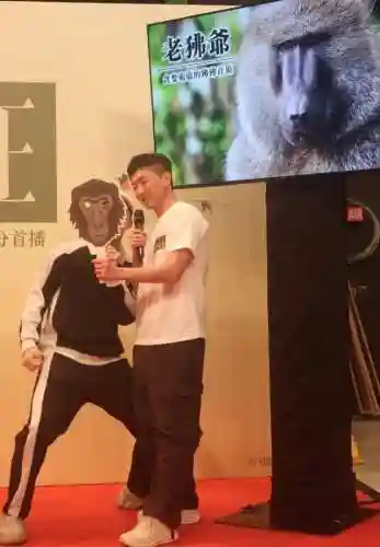 动物好声音阵容搭配(欢乐好声音老鼠去哪了)插图9