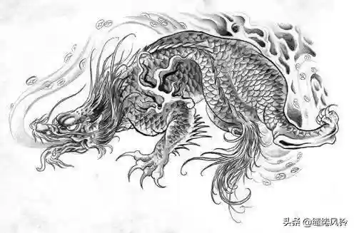 108只神兽大全(宝可梦98只神兽图片)插图98
