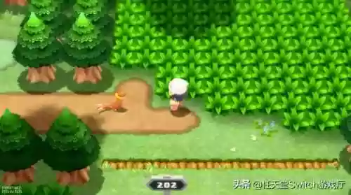 珍珠钻石重制竹兰阵容(晶灿钻石一周目竹兰阵容)插图2
