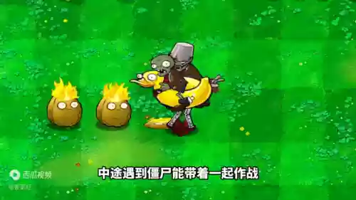 植物大战僵尸最新(植物大战僵尸中文免费版)插图3