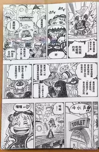 海贼王900集国语版卡通站(海贼王角色介绍)插图12