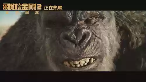 《哥斯拉2怪兽之王》(哥斯拉喜欢魔斯拉吗)插图16