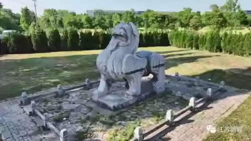 神兽是什么意思(神兽在家文案幽默句子)插图34
